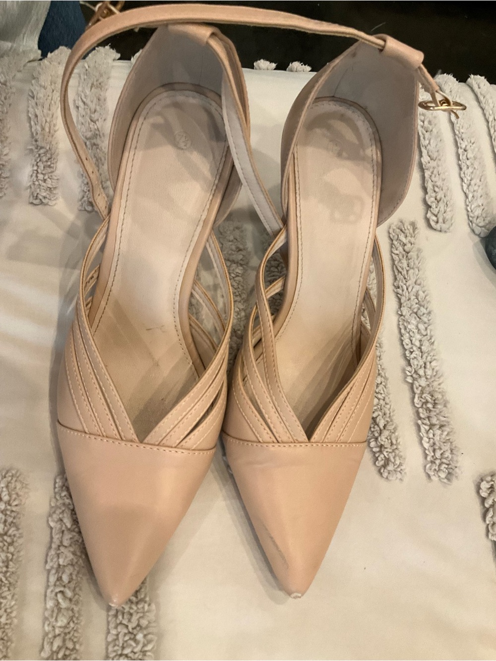 Pointed Toe Ankle Strap Pumps in Nude